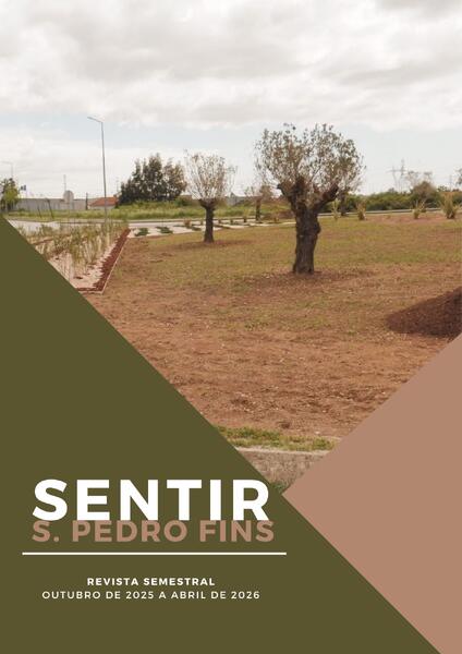 ' SENTIR S. PEDRO FINS VIII EDIÇÃO '